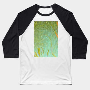 Duckweed CARD Baseball T-Shirt